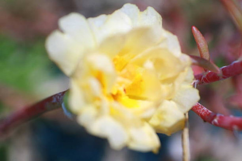 Beauty of Nature.jpg