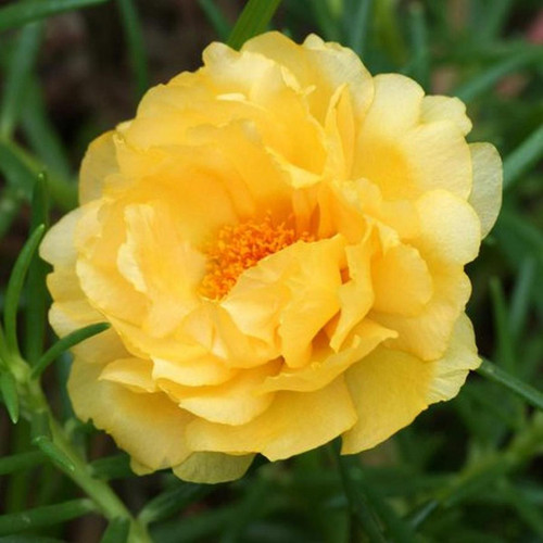 03 076a89d759ebc68ab85a3e039577c1a8 jpg.jpg