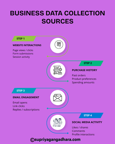 BUSINESS DATA COLLECTION SOURCES.png
