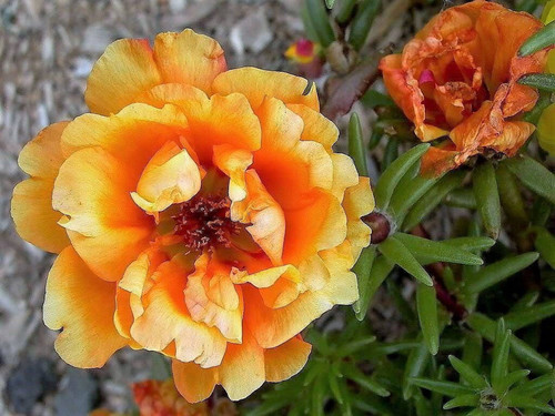 08 794d93ad f69f 4520 bd5d c7e9194eb2df db6f6869e5d9901c150d7b43c6ce49f3.jpg