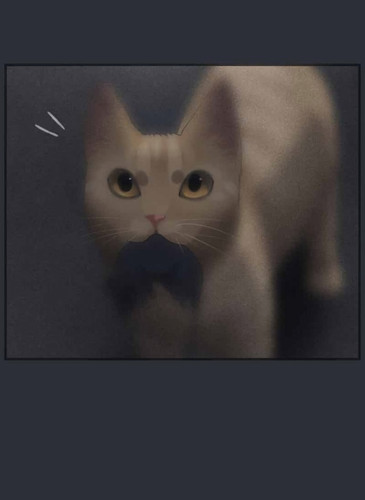 IMG 20260226 193505 453.jpg