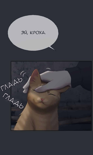 IMG 20260226 193546 538.png