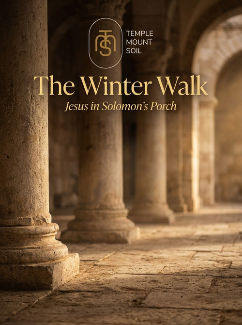 winter walk hero 1772119876843.jpg