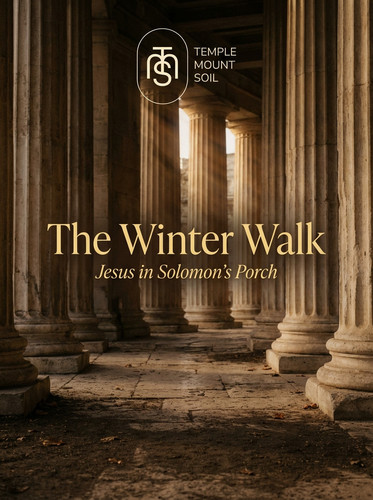 winter walk hero 1772119955258.jpg