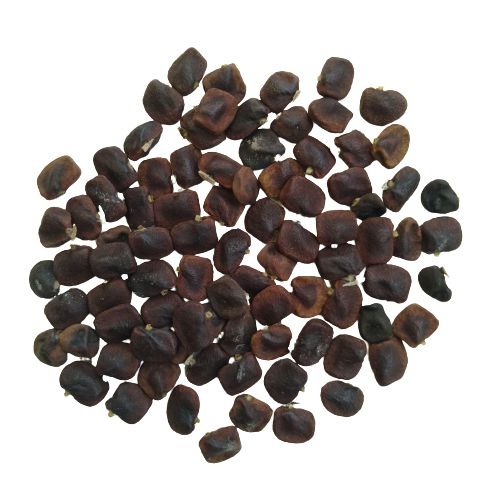 Aparajita Clitoria Ternatea Mix.jpg