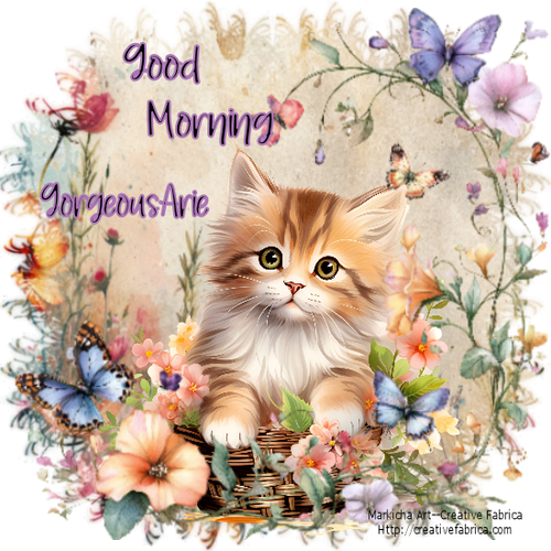 CF Good Morning Kitty Aloha Summer font Gorgeous Arie