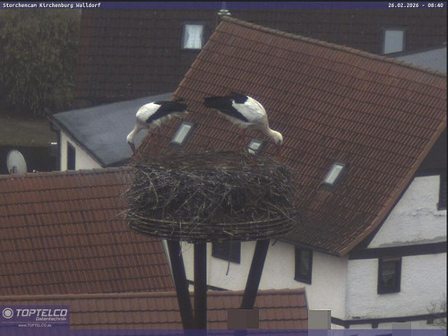 MWSnap193.jpg