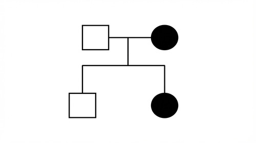 Fix the rotation 202602251600.jpg