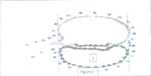 embryologie emd2 2016 ce 0001.png