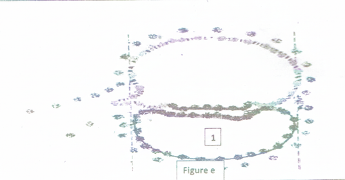 embryologie emd2 2016 ce 0001 nbp.png