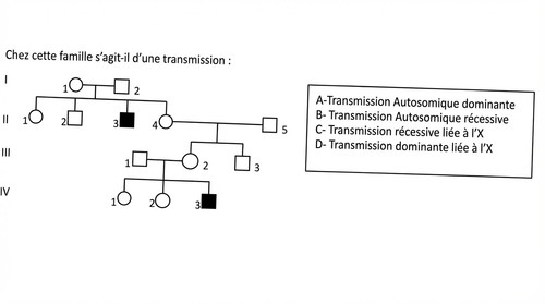 Image 202602251539.jpg