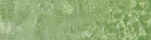 Camera 1040g3k831j82pmbaj2005ojg1cboc2vpj9dlu9g edit 1607783005331231.jpg