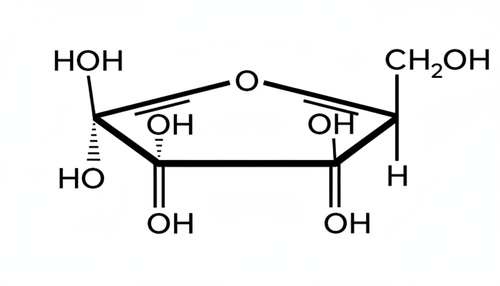 biochimie emd1 2017 ce 0003 nbp.png