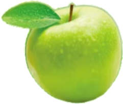 retouch 2026022523281759.png