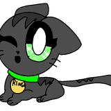 Ringo (Cat)