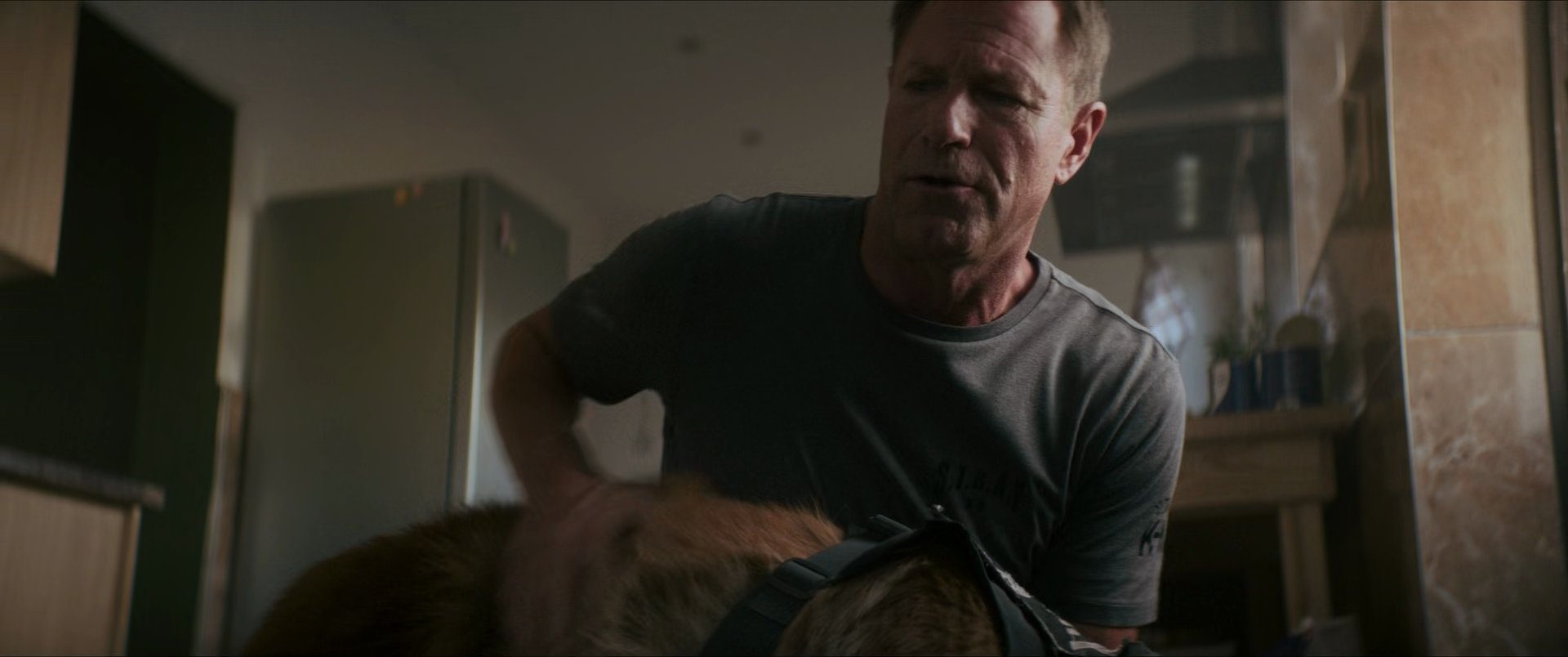 vlcsnap 2026 02 26 02h32m12s361