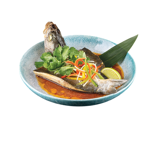 загрузка (84) Photoroom.png