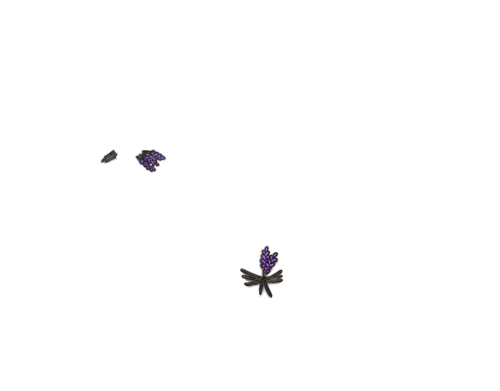 IMG 0112.png