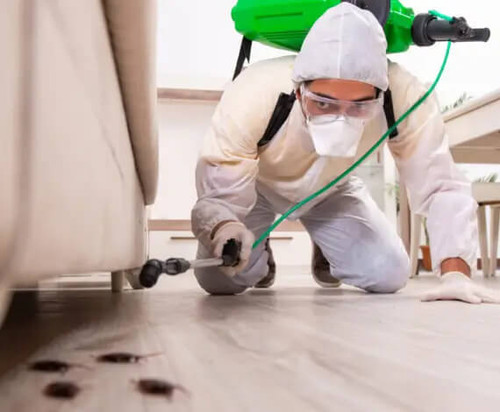 Emergency Pest Control Melbourne 247 Fast & Reliable Service.jpg