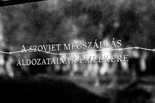 641113325 1501888348606059 1985453496861356837 n.jpg?stp=dst jpg s590x590 tt6& nc cat=103&ccb=1 7& n.jpg