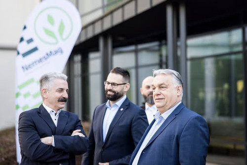 640475362 1347232883876703 709148171513486120 n.jpg?stp=dst jpg s590x590 tt6& nc cat=109&ccb=1 7& nc.jpg