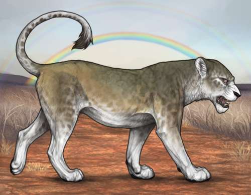 Screenshot 2026 02 25 at 5.24.41 PM.png