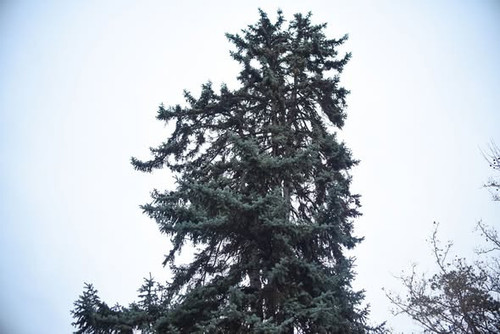 643827632 1497254165737217 4400568368764713119 n.jpg?stp=dst jpg s590x590 tt6& nc cat=102&ccb=1 7& n.jpg