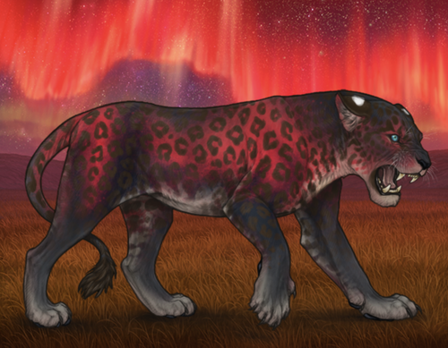 Screenshot 2026 02 25 at 5.27.58 PM.png