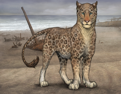 Screenshot 2026 02 25 at 5.17.46 PM.png