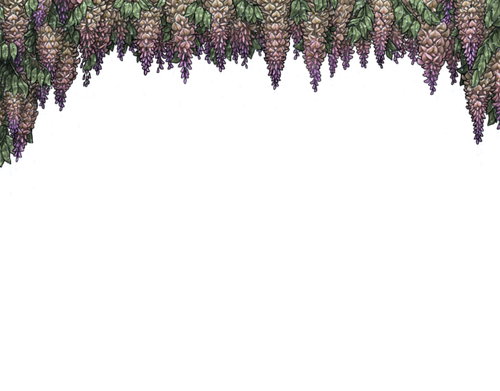 rain peach.purple.png