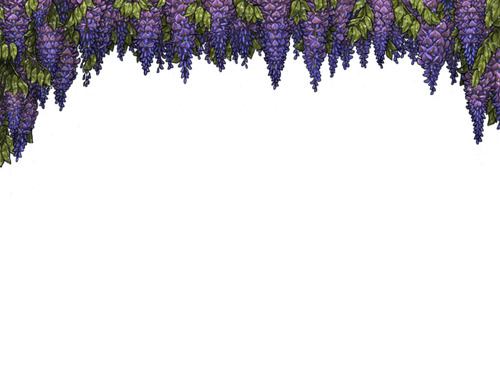 rain purple.pink.png