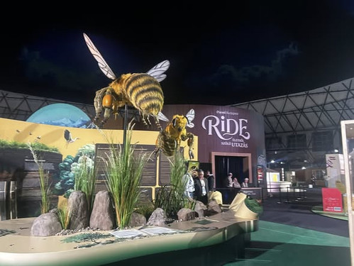 643417769 1293640316146569 4538041010392720321 n.jpg?stp=cp6 dst jpg s590x590 tt6& nc cat=106&ccb=1 .jpg