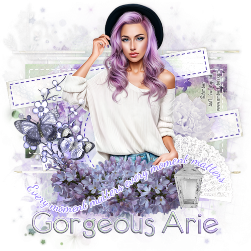 Gorgeous Arie 2026Every Moment Amb