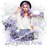 Gorgeous Arie 2026Every Moment Amb