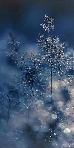 Image 1771515431198 769.jpg