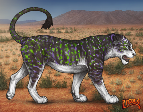 lioden wardrobe 2026 02 25T101426.050.png