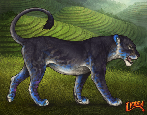 lioden wardrobe 2026 02 25T104405.000.png