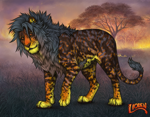 lioden wardrobe 2026 02 25T103046.021.png