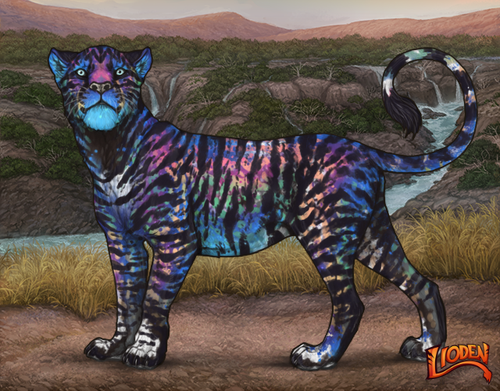 lioden wardrobe 2026 02 25T103755.075.png