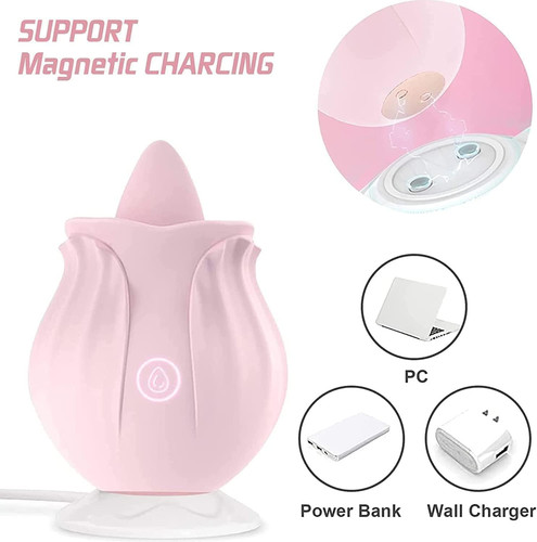 3 615Ppnlj75L. AC SL1500 .jpg