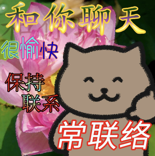 IMG 20260225 203024.jpg