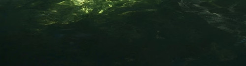 Camera 1040g3k031kie68la345g5phvdgtgu9gpdgbhso0 edit 1611547088838469.jpg