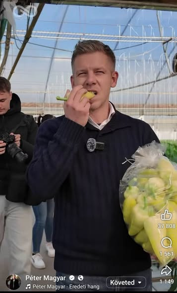 641676488 1309145107937821 5009794288571263749 n.jpg?stp=dst jpg s590x590 tt6& nc cat=106&ccb=1 7& n.jpg