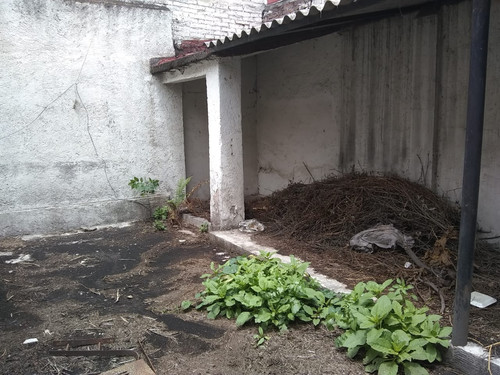 IMG 20220622 WA0010.jpg