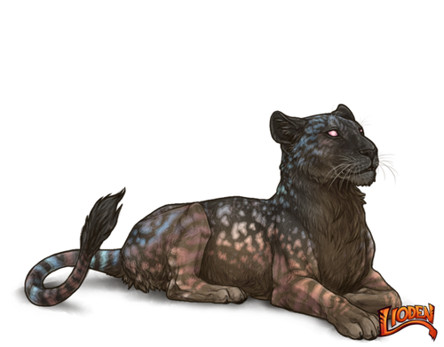 lioden wardrobe (38).png