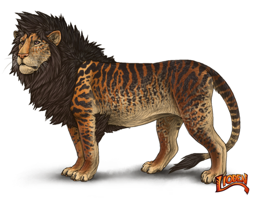 lioden wardrobe (40).png