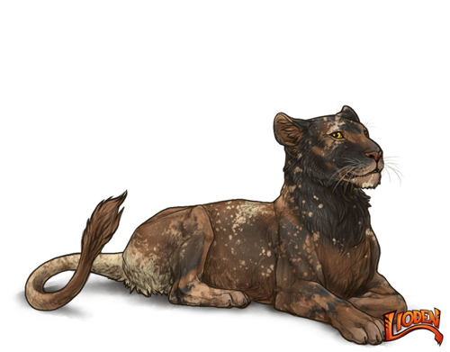 lioden wardrobe (45).png