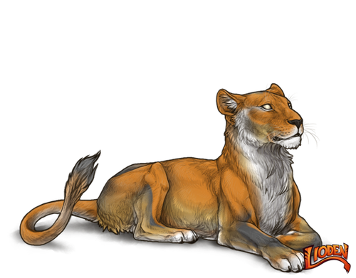 lioden wardrobe (44).png