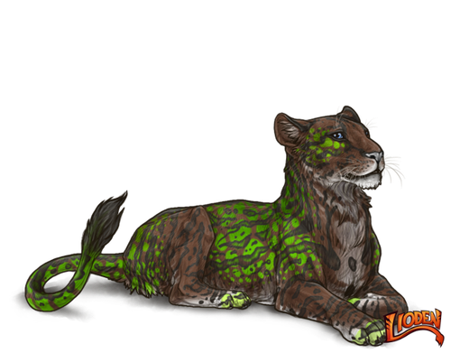 lioden wardrobe (49).png