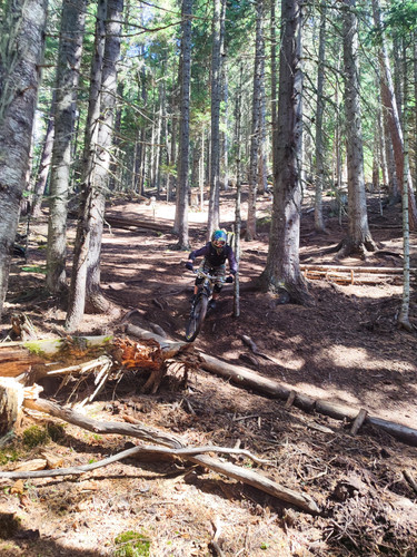 IMG 20250905 110020.jpg